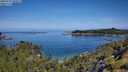 ./images/calvert/foggy-cove/20250710/foggy-cove20250710_104511M.jpg