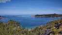 ./images/calvert/foggy-cove/20250710/foggy-cove20250710_110011M.jpg
