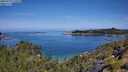 ./images/calvert/foggy-cove/20250710/foggy-cove20250710_110510M.jpg