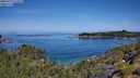 ./images/calvert/foggy-cove/20250710/foggy-cove20250710_111509M.jpg