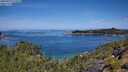 ./images/calvert/foggy-cove/20250710/foggy-cove20250710_112509M.jpg