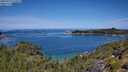 ./images/calvert/foggy-cove/20250710/foggy-cove20250710_115011M.jpg