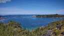 ./images/calvert/foggy-cove/20250710/foggy-cove20250710_115509M.jpg