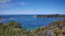 ./images/calvert/foggy-cove/20250710/foggy-cove20250710_123009M.jpg