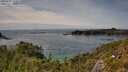 ./images/calvert/foggy-cove/20250710/foggy-cove20250710_152011M.jpg