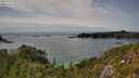 ./images/calvert/foggy-cove/20250710/foggy-cove20250710_154510M.jpg