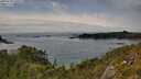 ./images/calvert/foggy-cove/20250710/foggy-cove20250710_160509M.jpg