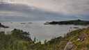 ./images/calvert/foggy-cove/20250710/foggy-cove20250710_180012M.jpg