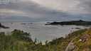 ./images/calvert/foggy-cove/20250710/foggy-cove20250710_180509M.jpg
