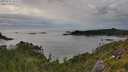 ./images/calvert/foggy-cove/20250710/foggy-cove20250710_181511M.jpg