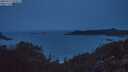 ./images/calvert/foggy-cove/20250711/foggy-cove20250711_050009M.jpg