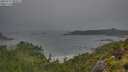 ./images/calvert/foggy-cove/20250711/foggy-cove20250711_080011M.jpg