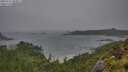 ./images/calvert/foggy-cove/20250711/foggy-cove20250711_083011M.jpg