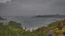 ./images/calvert/foggy-cove/20250711/foggy-cove20250711_092008M.jpg