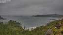 ./images/calvert/foggy-cove/20250711/foggy-cove20250711_092507M.jpg
