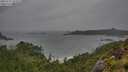 ./images/calvert/foggy-cove/20250711/foggy-cove20250711_101010M.jpg