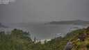 ./images/calvert/foggy-cove/20250711/foggy-cove20250711_101510M.jpg
