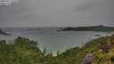./images/calvert/foggy-cove/20250711/foggy-cove20250711_115010M.jpg