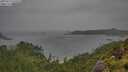 ./images/calvert/foggy-cove/20250711/foggy-cove20250711_115508M.jpg