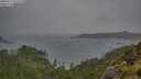 ./images/calvert/foggy-cove/20250711/foggy-cove20250711_122509M.jpg