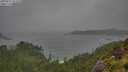 ./images/calvert/foggy-cove/20250711/foggy-cove20250711_123510M.jpg