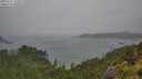 ./images/calvert/foggy-cove/20250711/foggy-cove20250711_124009M.jpg