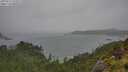 ./images/calvert/foggy-cove/20250711/foggy-cove20250711_125009M.jpg
