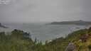 ./images/calvert/foggy-cove/20250711/foggy-cove20250711_130010M.jpg
