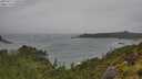 ./images/calvert/foggy-cove/20250711/foggy-cove20250711_130510M.jpg