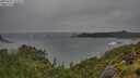 ./images/calvert/foggy-cove/20250711/foggy-cove20250711_132009M.jpg
