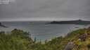 ./images/calvert/foggy-cove/20250711/foggy-cove20250711_132510M.jpg