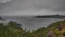 ./images/calvert/foggy-cove/20250711/foggy-cove20250711_133009M.jpg