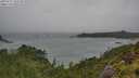 ./images/calvert/foggy-cove/20250711/foggy-cove20250711_134510M.jpg