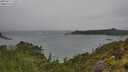 ./images/calvert/foggy-cove/20250711/foggy-cove20250711_135507M.jpg
