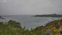./images/calvert/foggy-cove/20250711/foggy-cove20250711_140011M.jpg