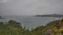./images/calvert/foggy-cove/20250711/foggy-cove20250711_141010M.jpg