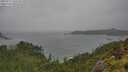 ./images/calvert/foggy-cove/20250711/foggy-cove20250711_142510M.jpg