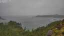./images/calvert/foggy-cove/20250711/foggy-cove20250711_143011M.jpg