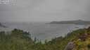 ./images/calvert/foggy-cove/20250711/foggy-cove20250711_143510M.jpg