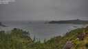 ./images/calvert/foggy-cove/20250711/foggy-cove20250711_150508M.jpg