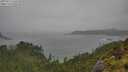 ./images/calvert/foggy-cove/20250711/foggy-cove20250711_160510M.jpg