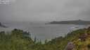 ./images/calvert/foggy-cove/20250711/foggy-cove20250711_161509M.jpg