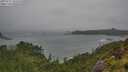 ./images/calvert/foggy-cove/20250711/foggy-cove20250711_162510M.jpg