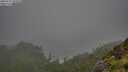 ./images/calvert/foggy-cove/20250711/foggy-cove20250711_181010M.jpg