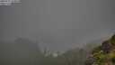 ./images/calvert/foggy-cove/20250711/foggy-cove20250711_194008M.jpg