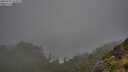 ./images/calvert/foggy-cove/20250711/foggy-cove20250711_212509M.jpg