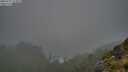 ./images/calvert/foggy-cove/20250711/foggy-cove20250711_214009M.jpg