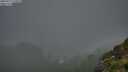 ./images/calvert/foggy-cove/20250711/foggy-cove20250711_215009M.jpg