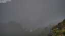 ./images/calvert/foggy-cove/20250711/foggy-cove20250711_215508M.jpg