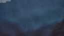 ./images/calvert/foggy-cove/20250712/foggy-cove20250712_044508M.jpg
